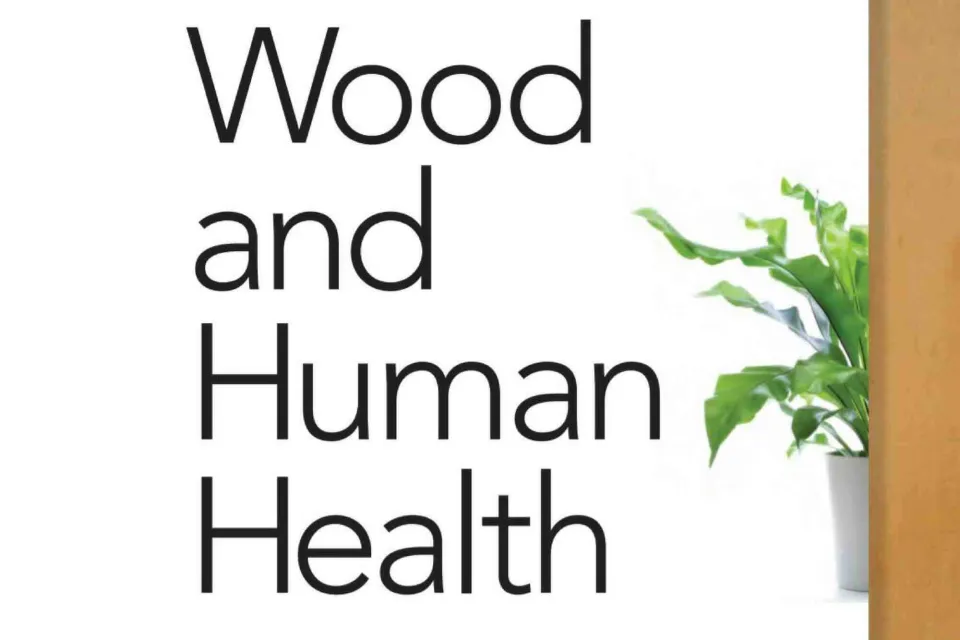 Wood and Human Health