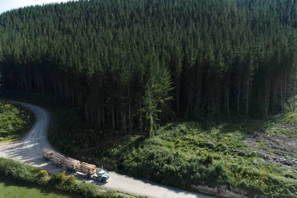 Vulcan is FSC certified