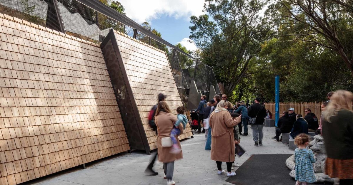 Snow Leopard Enclosure - Wellington, New Zealand
