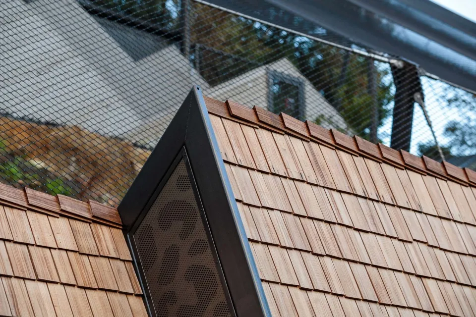 Wellington Zoo Snow Leopard Enclosure Vulcan Shingles Abodo Wood 06