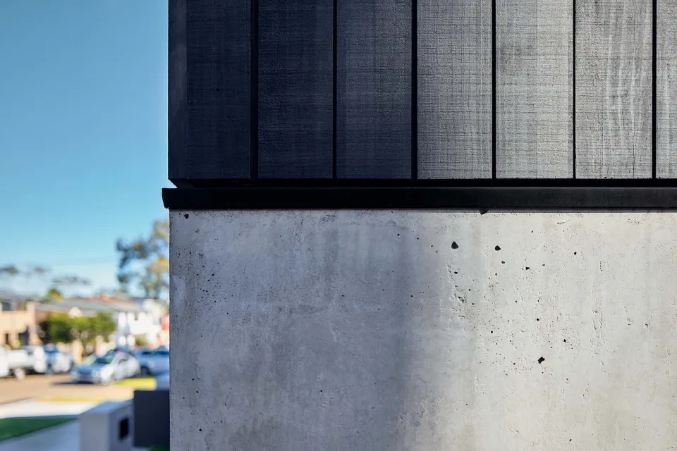 Dual Beauties Vulcan Cladding Abodo Wood 07