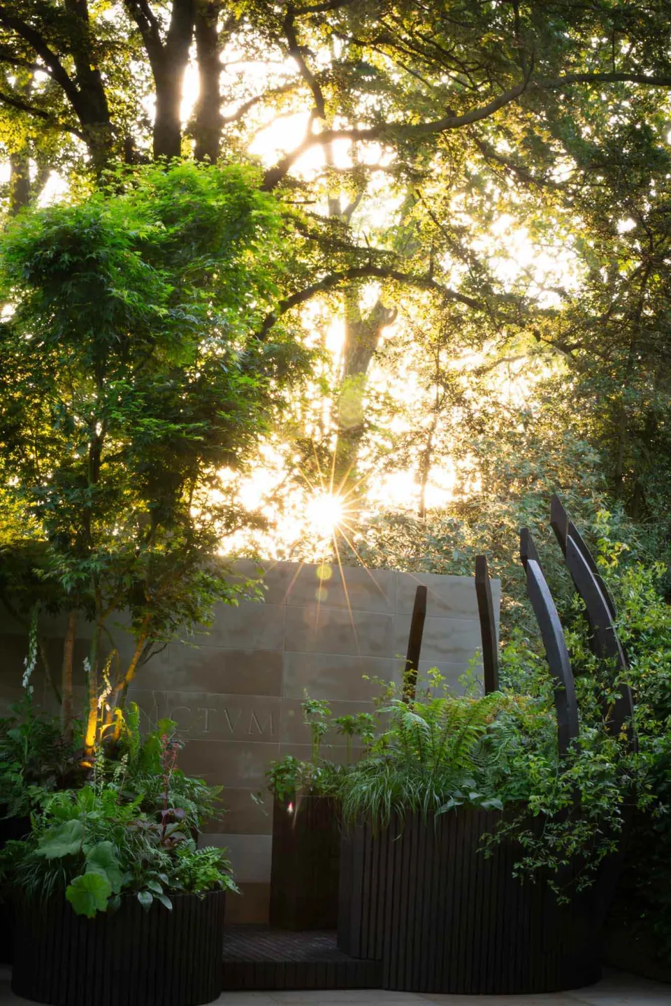 Chelsea Flower Show Vulcan Timber Abodo Wood 04