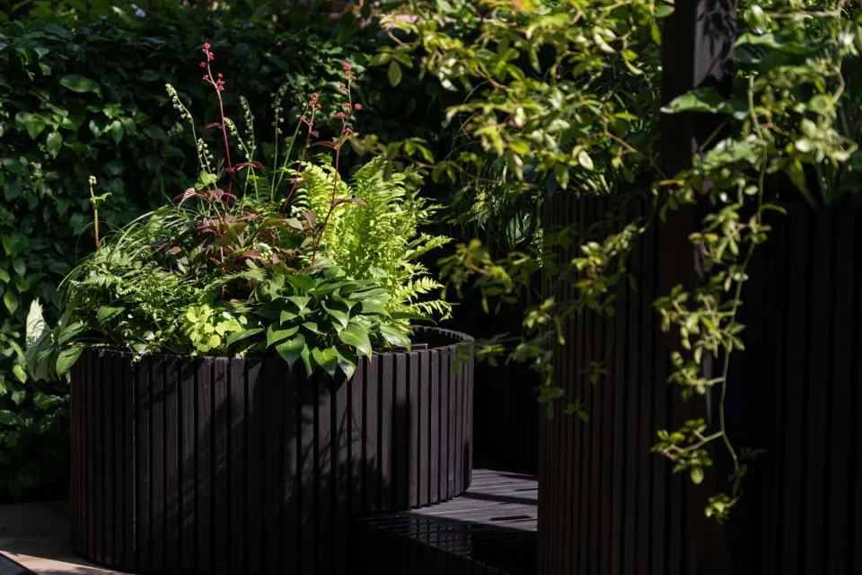 Chelsea Flower Show Vulcan Timber Abodo Wood 01