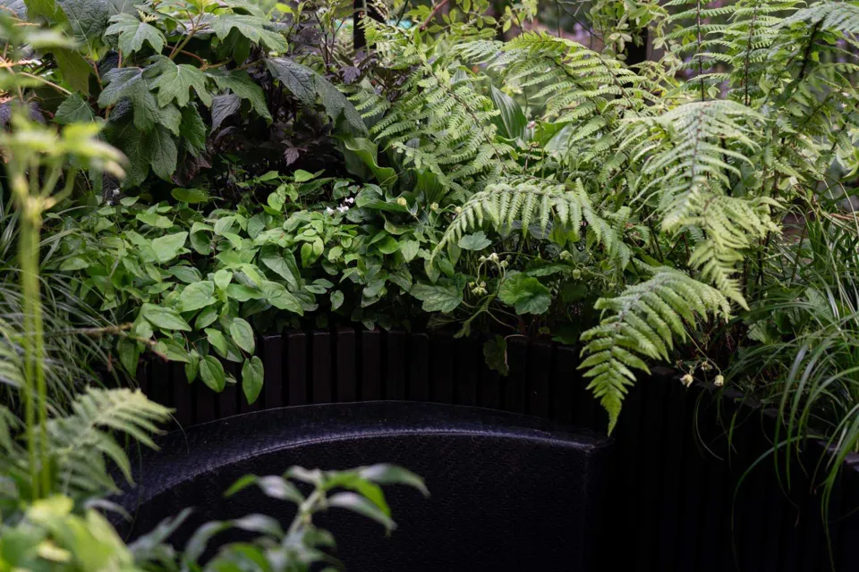 Chelsea Flower Show Vulcan Timber Abodo Wood 05