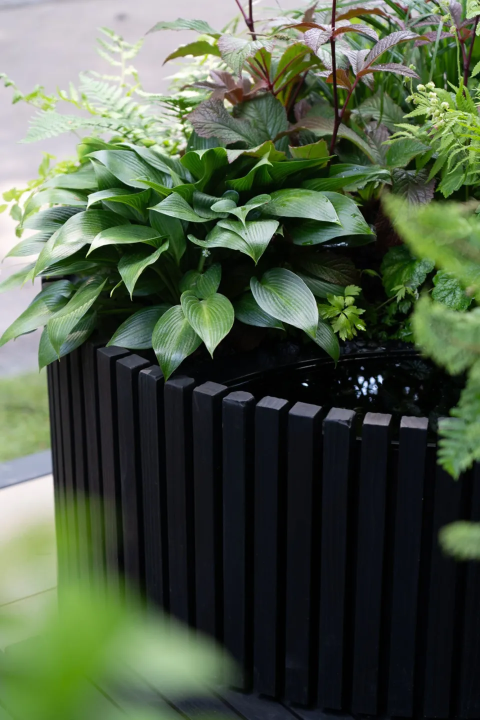 Chelsea Flower Show Vulcan Timber Abodo Wood 07