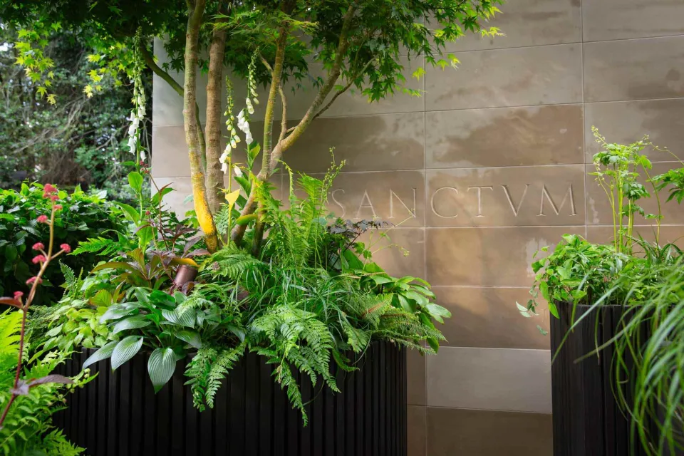 Chelsea Flower Show Vulcan Timber Abodo Wood 10