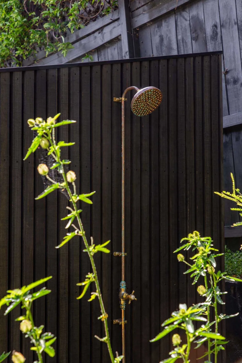 Vulcan Timber Sauna Hideaway Saunas Auckland Abodo Wood 04