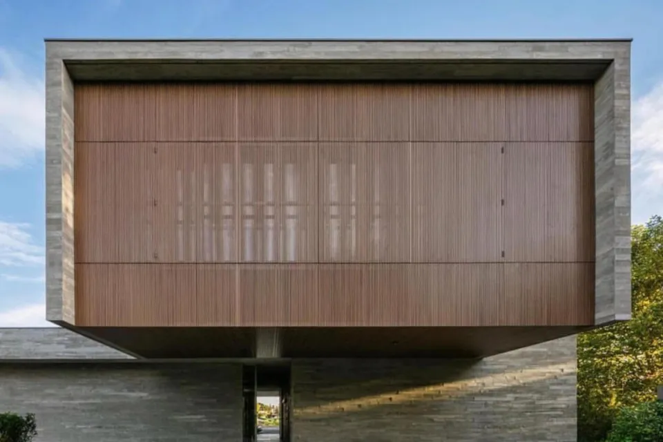 Brazilian modernist