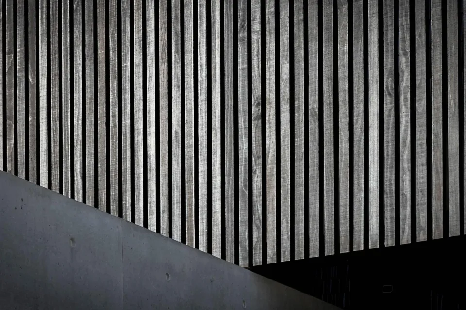 Elanora Residence Vulcan Timber Abodo Wood 3