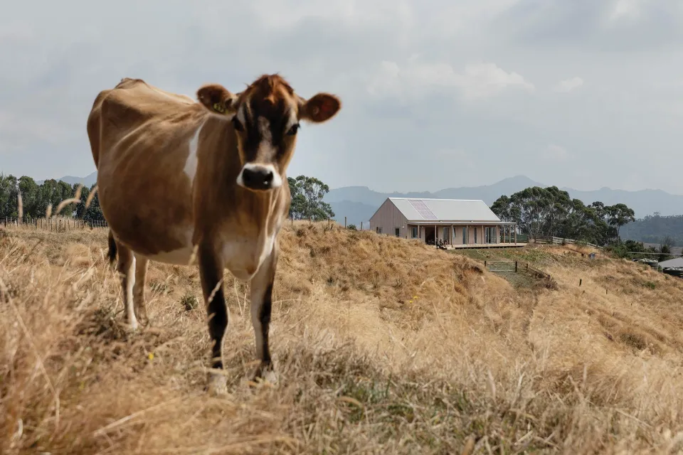 Karangahake House Tundra Cladding in Sioox Abodo Wood 1