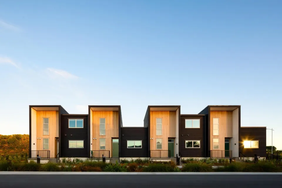 Ngarara Eco Development Vulcan Cladding Abodo Wood 2