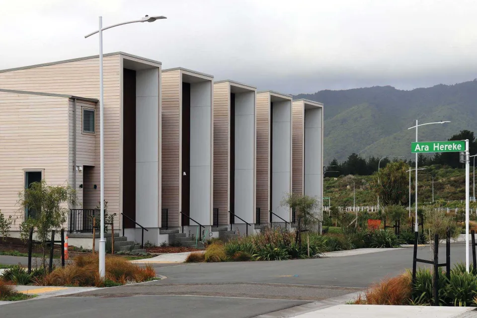 Ngarara Eco Development Vulcan Cladding Abodo Wood 7