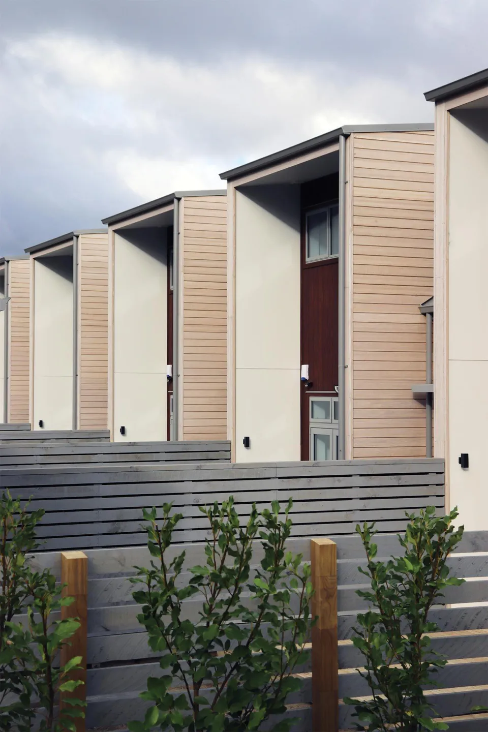 Ngarara Eco Development Vulcan Cladding Abodo Wood 8