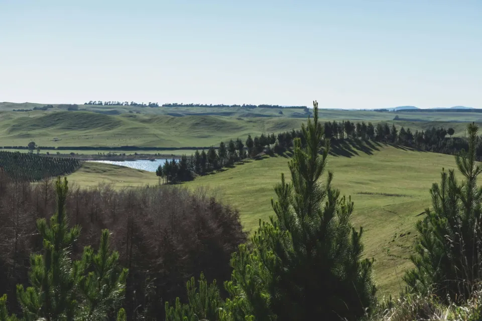 A Barn With a View Vulcan Cladding Abodo Wood 2