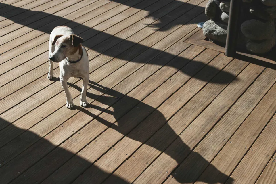 Donelley House Sand Decking Abodo Wood 2