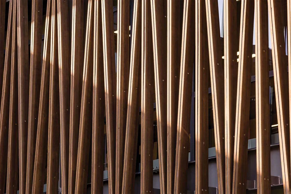 Christchurch Boys High School Vulcan Timber Abodo Wood 7