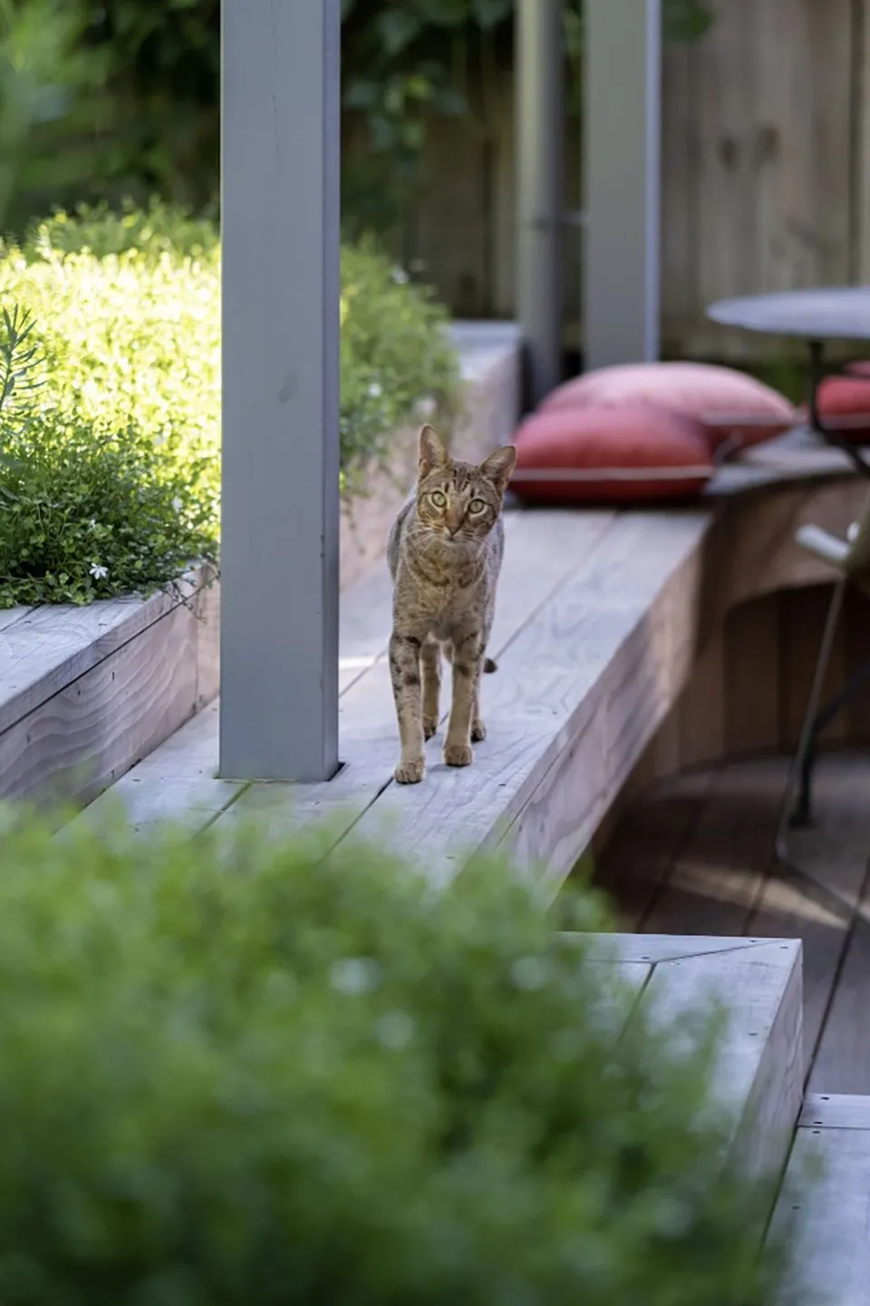 Compact Central City Bungalow Vulcan Timber Abodo Wood 10