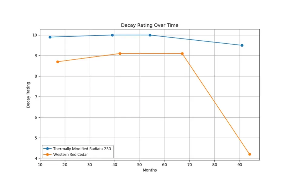 Thermally Modified Radiata Decay Rating Graph 2