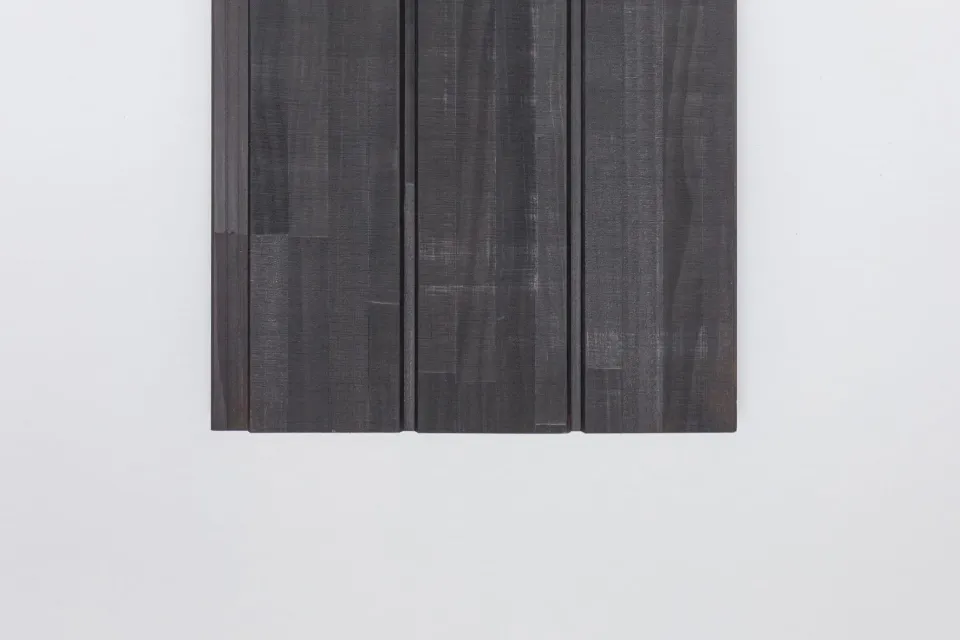 Vulcan Nexus Cladding in Protector Ebony Abodo Wood